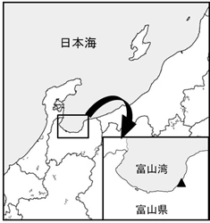 図1：富山湾　※▲は調査地点