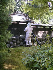 写真４　ハチの巣除去