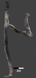 図14.坑道掘り（虎谷）