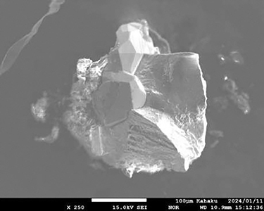 図8.エレクトラムの電子顕微鏡写真