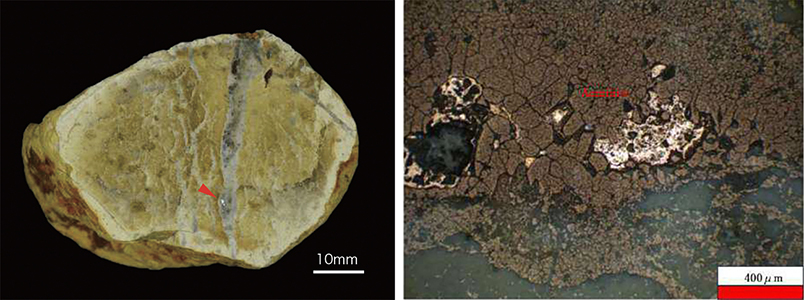 図9.針銀鉱（左：岩石写真,右:反射顕微鏡写真）